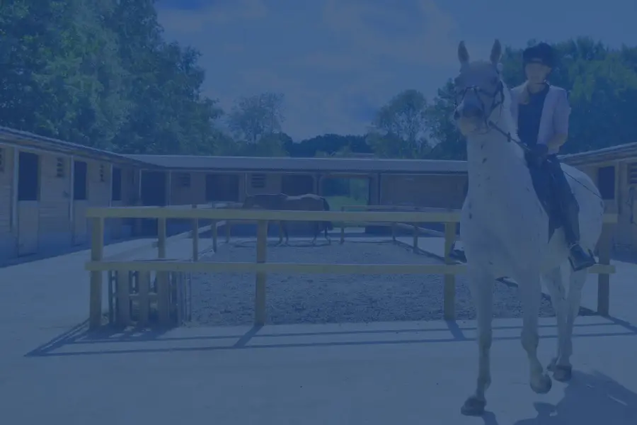 Livery-Services-900x600-new2020-blue