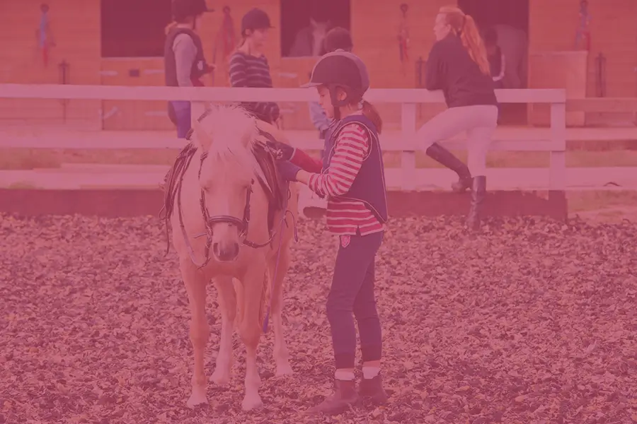 Pony-Club-900x600-new-pink