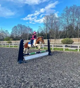 For one to fly, one needs only to take the reins.

www.staglodgestables.com

#london #royalpark #richmondpark #horseriding #horsey #horsebackriding #horsebackridinglessons #staglodge #staglodgestables #staglodge2 #horses #poniesofinstagram #pony #horseselfie #ridinglessons #photoftheday #horsesofinsta #horseoftheday #equestrian #equestrianlife #horselife #ridingahorse #equestrianphotography #horsephoto #horsephotographer #horsegirl #horsemanship #horseback #equestriansofinstagram #training