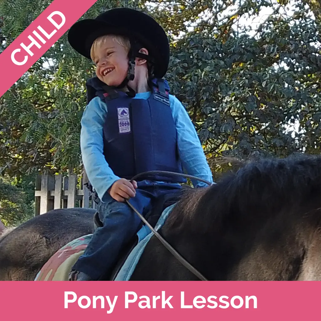 Stag-Lodge-Website-Buy-Pics-Child-Pony-Park-Lesson