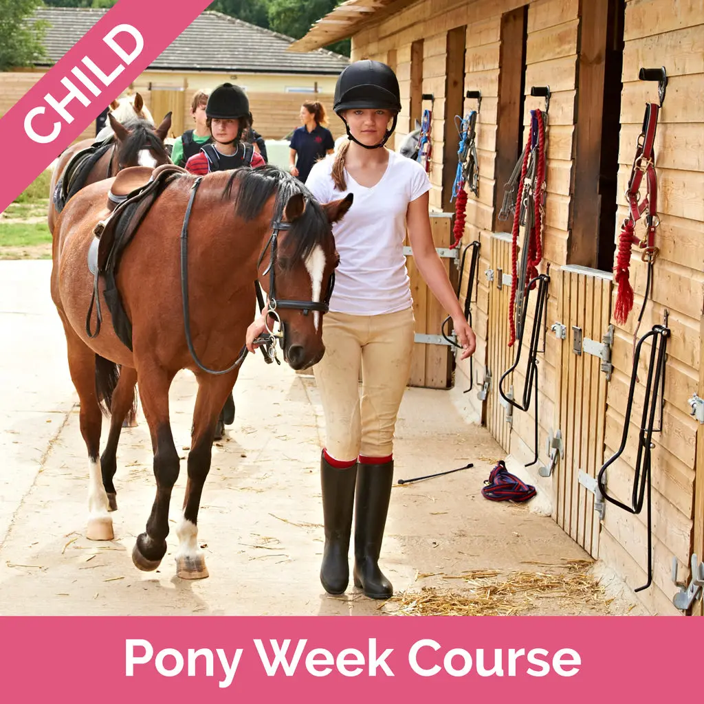 Stag-Lodge-Shopify-Voucher-Pics-Pony-Week