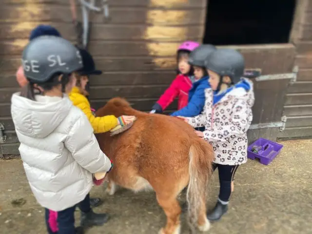 Great first day to Easter Pony Camp 😁

www.staglodgestables.com 

#london #royalpark #richmondpark #horseriding #horsey #horsebackriding #horsebackridinglessons #staglodge #staglodgestables #staglodge2 #horses #poniesofinstagram #pony #horseselfie #ridinglessons #photoftheday #horsesofinsta #horseoftheday #equestrian #equestrianlife #horselife #ridingahorse #equestrianphotography #horsephoto #horsephotographer #horsegirl #horsemanship #horseback #equestriansofinstagram #ponycamp