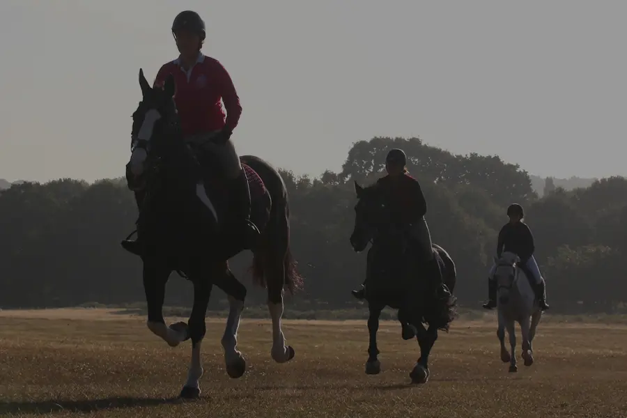 Riding-Courses-900x600-new