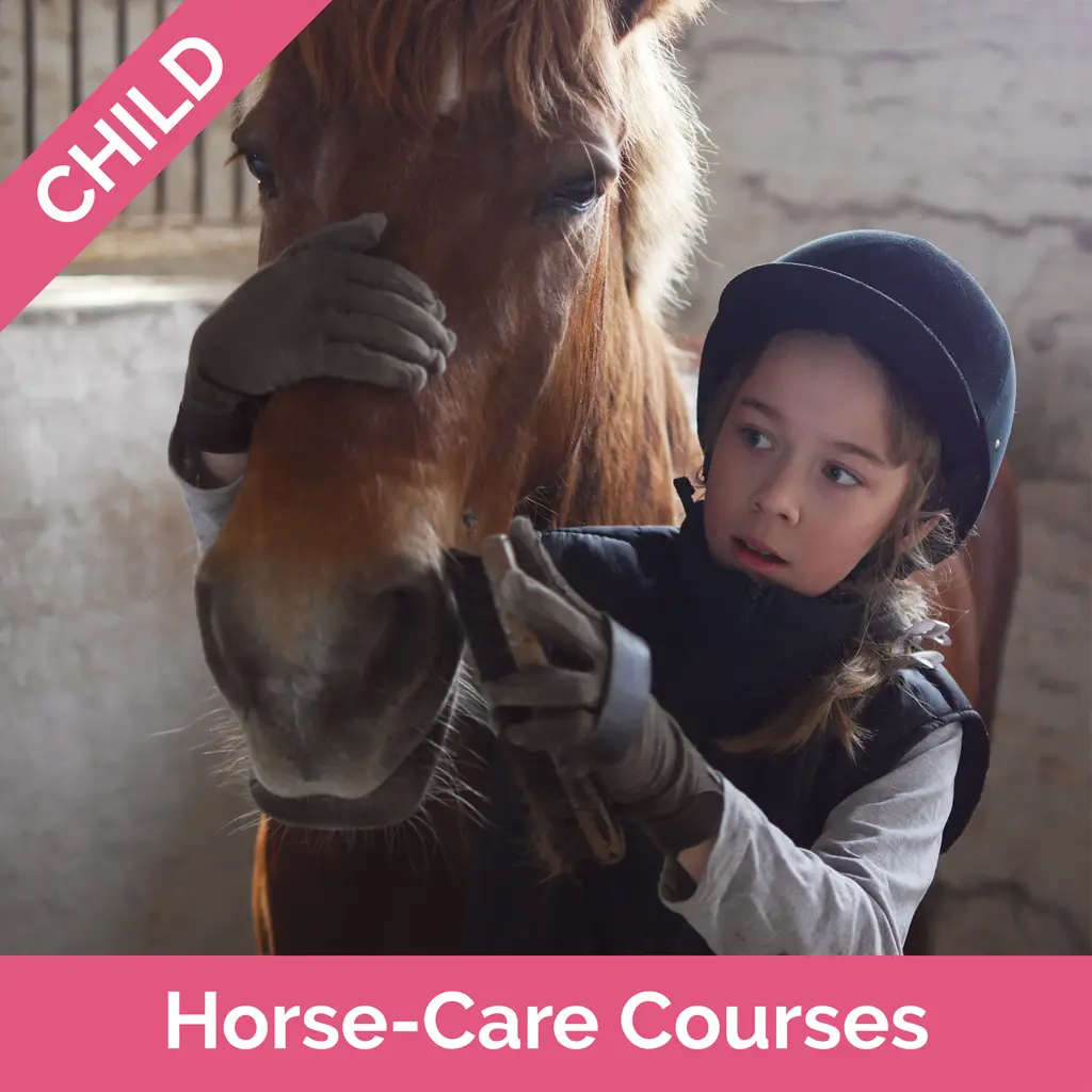 Stag-Lodge-Website-Buy-Pics-Child-Horse-Care-Courses