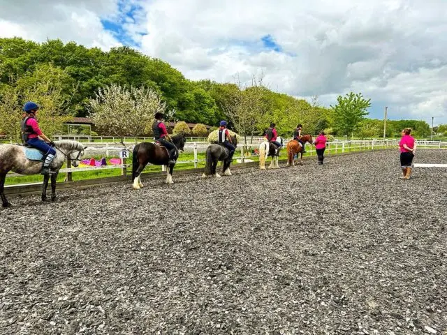 Instructor training 😁 

www.staglodgestables.com

#london #royalpark #richmondpark #horseriding #horsey #horsebackriding #horsebackridinglessons #staglodge #staglodgestables #staglodge2 #horses #poniesofinstagram #pony #horseselfie #ridinglessons #photoftheday #horsesofinsta #horseoftheday #equestrian #equestrianlife #horselife #ridingahorse #equestrianphotography #horsephoto #horsephotographer #horsegirl #horsemanship #horseback #equestriansofinstagram #training