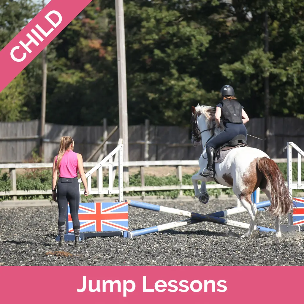 Stag-Lodge-Website-Buy-Pics-Jump-Lessons