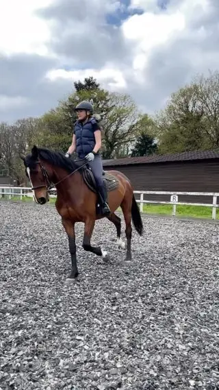 One beautiful step at a time 🐎

#london #royalpark #richmondpark #horseriding #horsey #horsebackriding #horsebackridinglessons #staglodge #staglodgestables #staglodge2 #horses #poniesofinstagram #pony #horseselfie #ridinglessons #photoftheday #horsesofinsta #horseoftheday #equestrian #equestrianlife #horselife #ridingahorse #equestrianphotography #horsephoto #horsephotographer #horsegirl #horsemanship #horseback #equestriansofinstagram #training