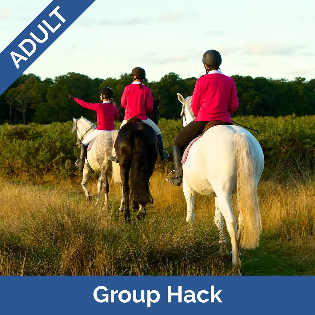 Stag-Lodge-Website-Buy-Pics-Adult-Group-Hack