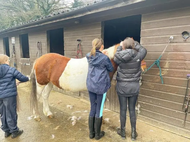 Some great grooming from our pony camp children … 😁😊🐎 

#london #royalpark #richmondpark #horseriding #horsey #horsebackriding #horsebackridinglessons #staglodge #staglodgestables #staglodge2 #horses #poniesofinstagram #pony #horseselfie #ridinglessons #photoftheday #horsesofinsta #horseoftheday #equestrian #equestrianlife #horselife #ridingahorse #equestrianphotography #horsephoto #horsephotographer #horsegirl #horsemanship #horseback #equestriansofinstagram #ponycamp