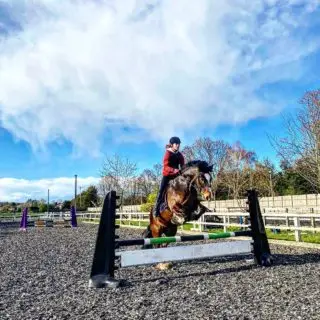 Jumping into the weekend … let’s go!! 

www.staglodgestables.com

#london #royalpark #richmondpark #horseriding #horsey #horsebackriding #horsebackridinglessons #staglodge #staglodgestables #staglodge2 #horses #poniesofinstagram #pony #horseselfie #ridinglessons #photoftheday #horsesofinsta #horseoftheday #equestrian #equestrianlife #horselife #ridingahorse #equestrianphotography #horsephoto #horsephotographer #horsegirl #horsemanship #horseback #equestriansofinstagram #training