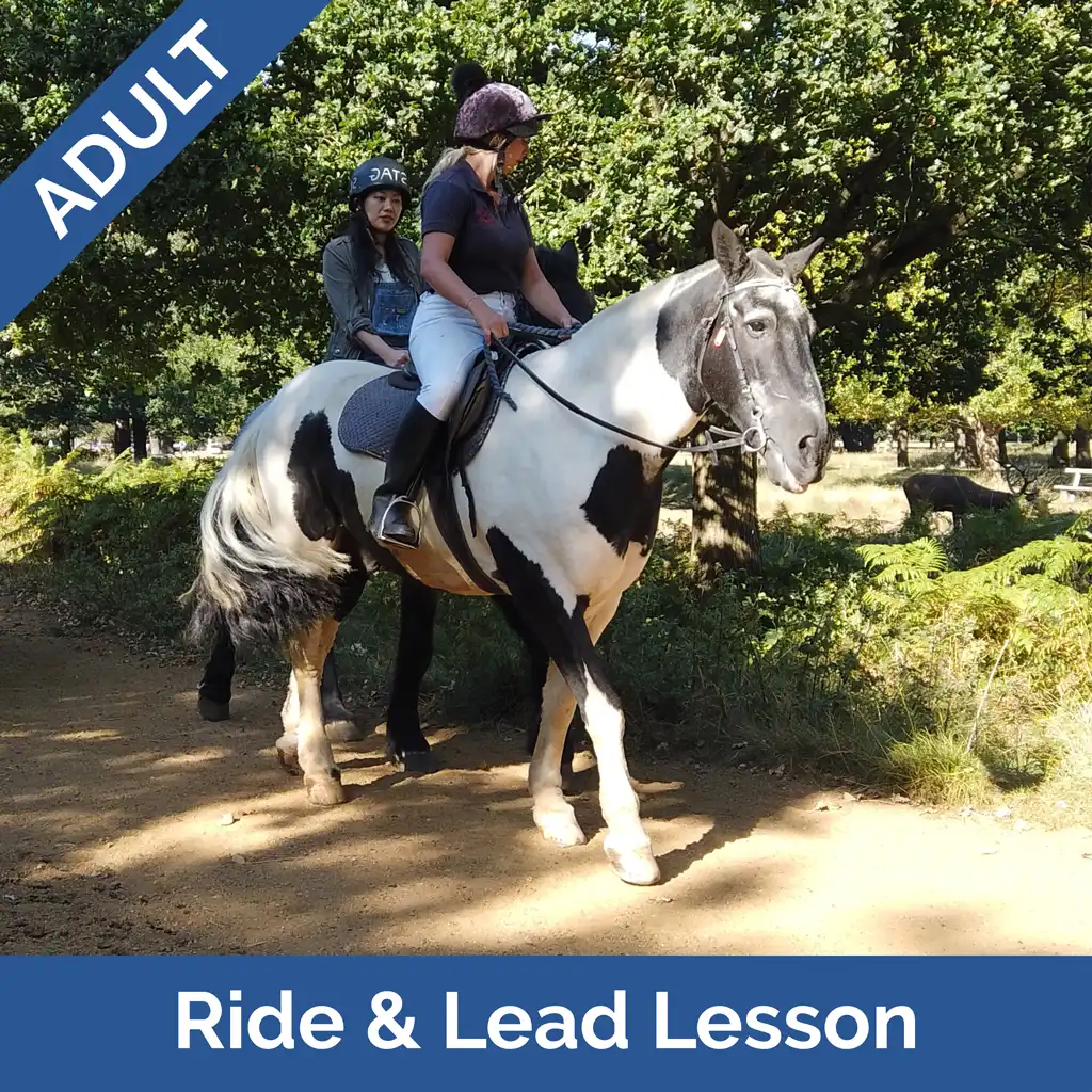 Stag-Lodge-Website-Buy-Pics-Adult-Ride-Lead