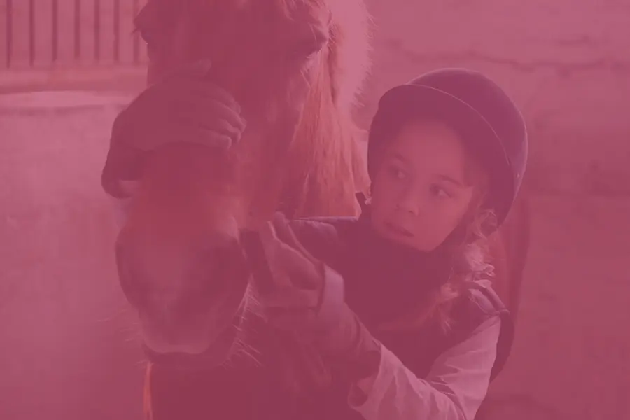 Horse-Care-Courses-900x600-pink Horse-Care-Courses-900x600-pink