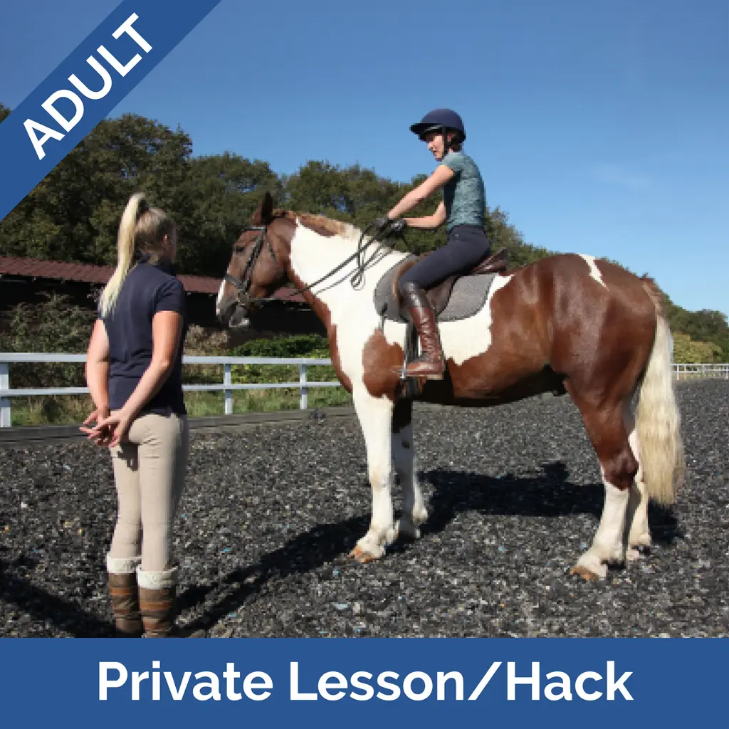 Stag-Lodge-Website-Buy-Pics-Adult-Private-Lesson-Hack
