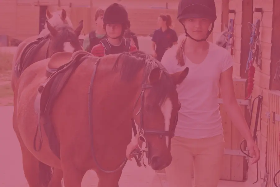 Pony-Week-900x600-pink