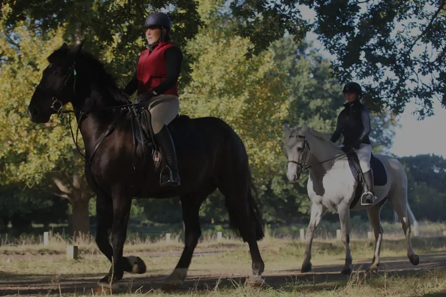 Horse-Riding-for-adults-900x600 Horse-Riding-for-adults-900x600