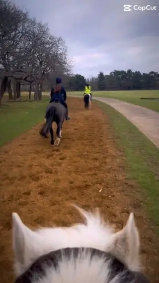 The rain is not stopping us today … 🐎

#london #royalpark #richmondpark #horseriding #horsey #horsebackriding #horsebackridinglessons #staglodge #staglodgestables #staglodge2 #horses #poniesofinstagram #pony #horseselfie #ridinglessons #photoftheday #horsesofinsta #horseoftheday #equestrian #equestrianlife #horselife #ridingahorse #equestrianphotography #horsephoto #horsephotographer #horsegirl #horsemanship #horseback #equestriansofinstagram #training