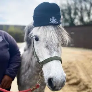 Even our horses wear Stag Lodge branding 🤣

www.staglodgestables.com

#london #royalpark #richmondpark #horseriding #horsey #horsebackriding #horsebackridinglessons #staglodge #staglodgestables #staglodge2 #horses #poniesofinstagram #pony #horseselfie #ridinglessons #photoftheday #horsesofinsta #horseoftheday #equestrian #equestrianlife #horselife #ridingahorse #equestrianphotography #horsephoto #horsephotographer #horsegirl #horsemanship #horseback #equestriansofinstagram #training