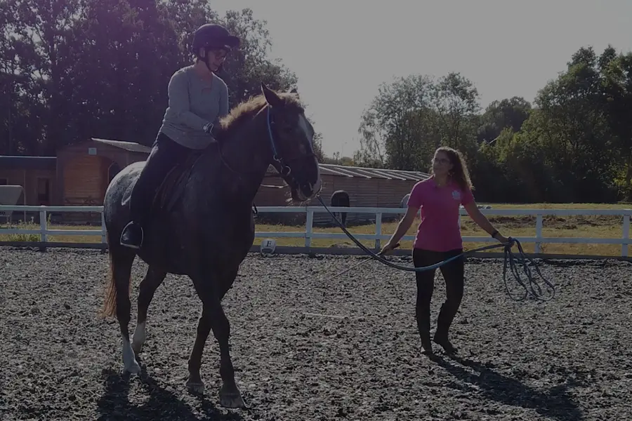 Lunge-Lessons-for-adults-900x600-new Lunge-Lessons-for-adults-900x600-new