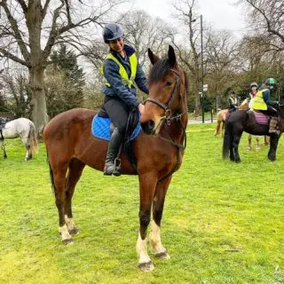Membership is coming to Stag Lodge 😁 

Drop us a message if you would like to find out more information. 

#london #royalpark #richmondpark #horseriding #horsey #horsebackriding #horsebackridinglessons #staglodge #staglodgestables #staglodge2 #horses #poniesofinstagram #pony #horseselfie #ridinglessons #photoftheday #horsesofinsta #horseoftheday #equestrian #equestrianlife #horselife #ridingahorse #equestrianphotography #horsephoto #horsephotographer #horsegirl #horsemanship #horseback #equestriansofinstagram #membership