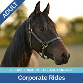 Stag-Lodge-Shopify-Coupon-Pics-Corporate-Rides-Enquire