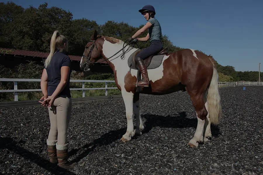 Private-lessons-for-adults-900x600-new Private-lessons-for-adults-900x600-new
