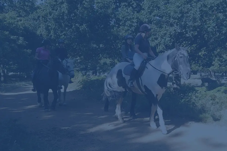 Ride-and-Lead-for-adults-900x600-new-blue